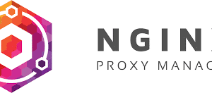 Thiết kế hệ thống chuyên nghiệp OceanTech-Group Nginx-Proxy-Manager-300x132 How to Install and Use Nginx Proxy Manager with Docker Thủ thuật